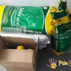 Podarunki od Fundacji