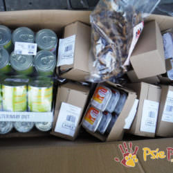 Dary dla chorych piesków Dary dla chorych piesków