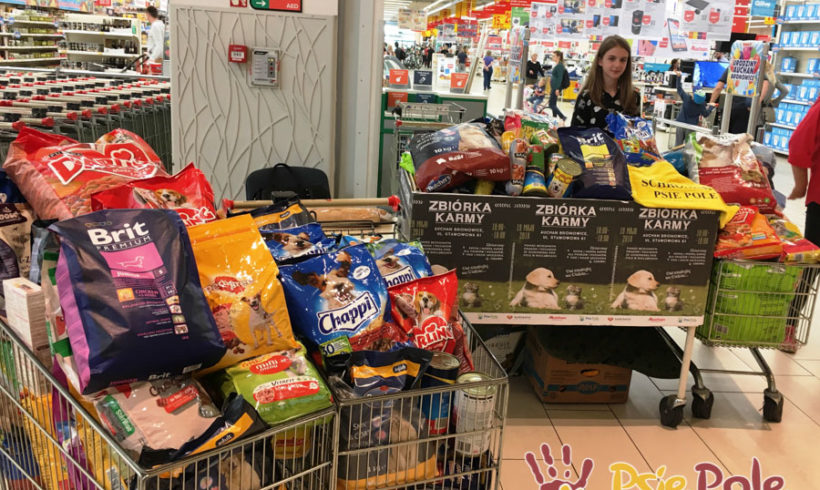 Zbiórka karmy piesków i kotków w schronisku w Auchan Bronowice