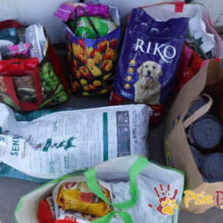 Podarunki dla naszych zwierzaków