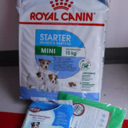 Karma dla szczeniąt