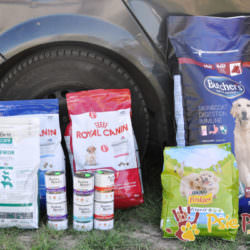 Majowe odwiedziny wolontariuszy Majowe odwiedziny wolontariuszy