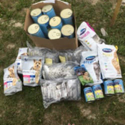 Karma od Irenci Karma od Irenci