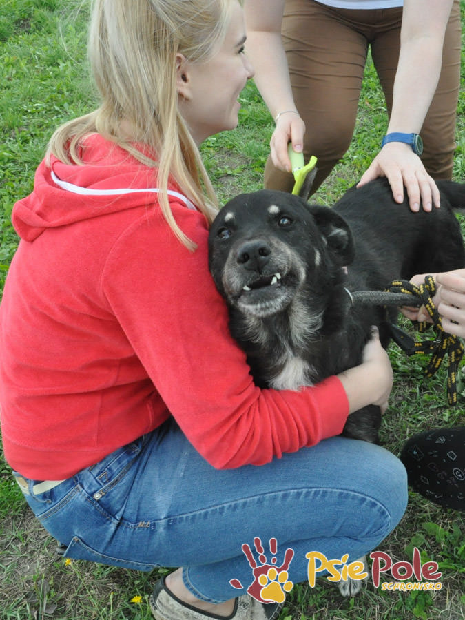 Odwiedziny Wolontariuszy Odwiedziny Wolontariuszy