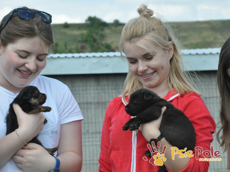 Odwiedziny Wolontariuszy Odwiedziny Wolontariuszy