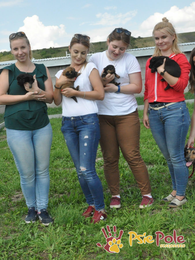 Odwiedziny Wolontariuszy Odwiedziny Wolontariuszy