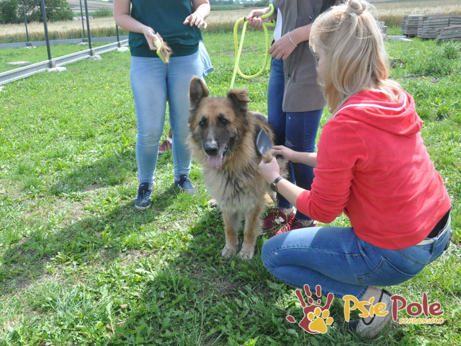 Odwiedziny Wolontariuszy Odwiedziny Wolontariuszy