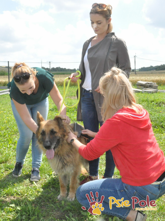 Odwiedziny Wolontariuszy Odwiedziny Wolontariuszy