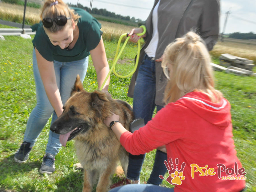 Odwiedziny Wolontariuszy Odwiedziny Wolontariuszy