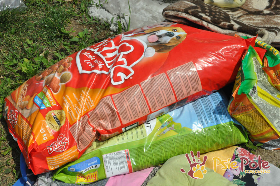 Odwiedziny Wolontariuszy Odwiedziny Wolontariuszy