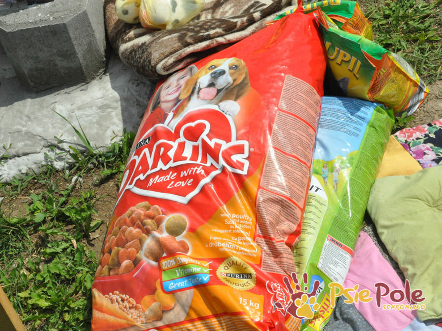 Odwiedziny Wolontariuszy Odwiedziny Wolontariuszy