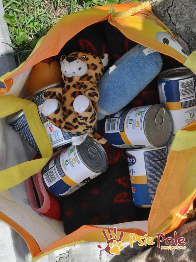 Odwiedziny Wolontariuszy Odwiedziny Wolontariuszy