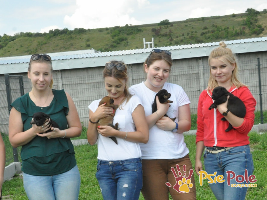 Odwiedziny Wolontariuszy Odwiedziny Wolontariuszy