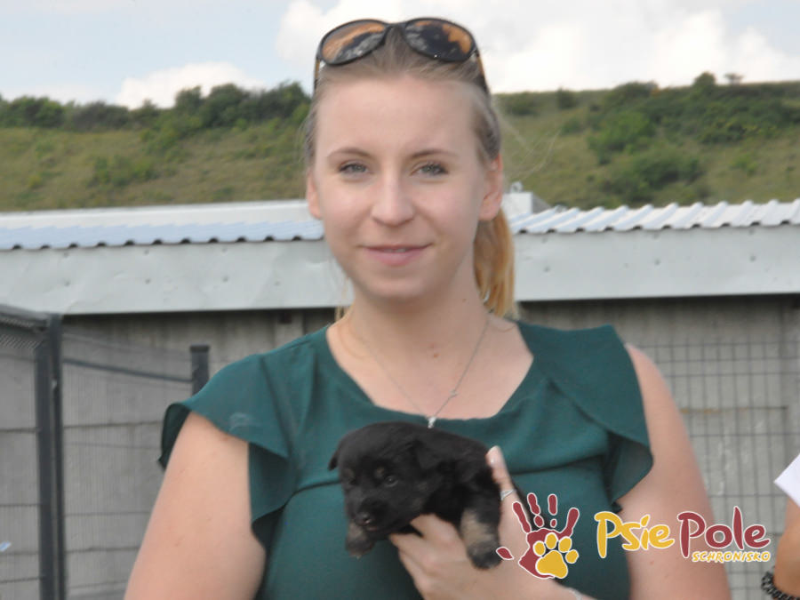 Odwiedziny Wolontariuszy Odwiedziny Wolontariuszy