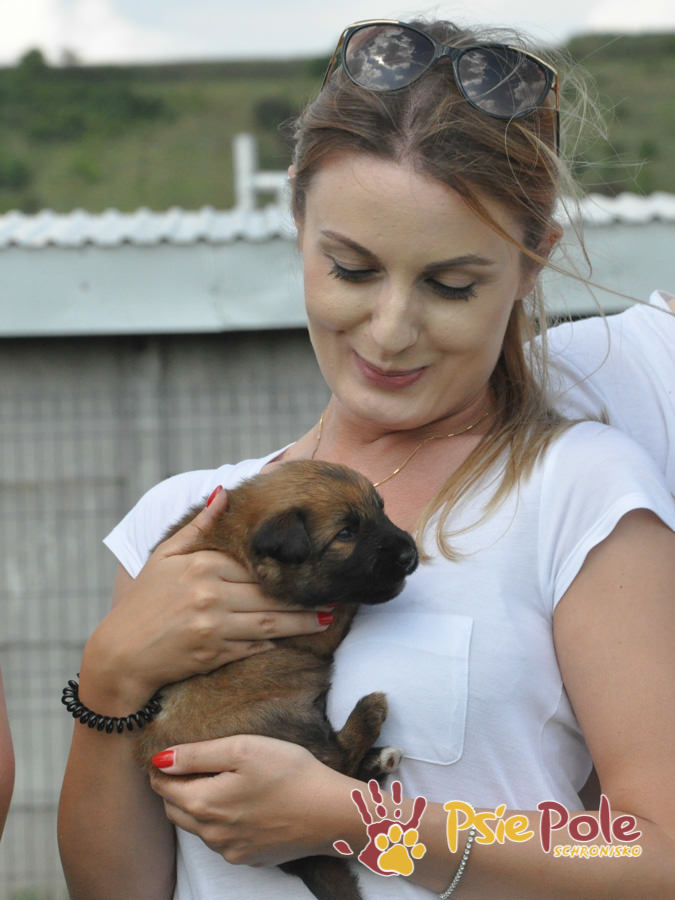 Odwiedziny Wolontariuszy Odwiedziny Wolontariuszy