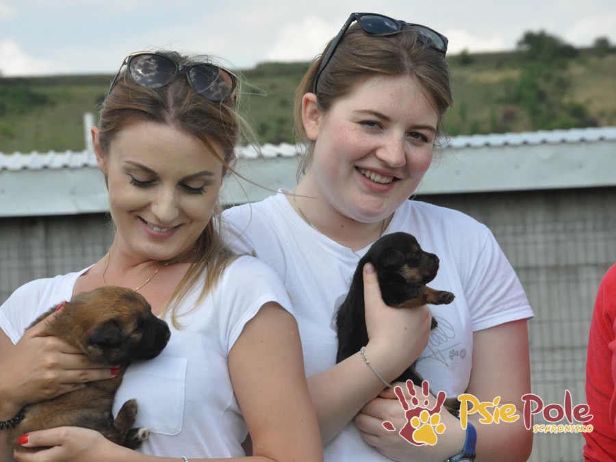 Odwiedziny Wolontariuszy Odwiedziny Wolontariuszy