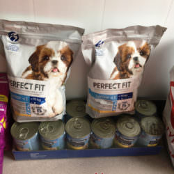 Dary dla piesków i kotków