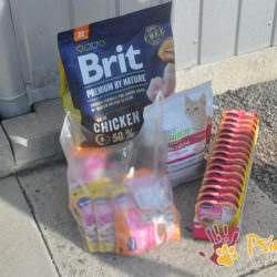 Karma dla maluchów Karma dla maluchów