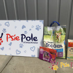 Podarunki dla maluchów