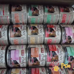 DARY DLA KOTKÓW DARY DLA KOTKÓW