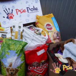 Podarunki dla zwierzów Podarunki dla zwierzów