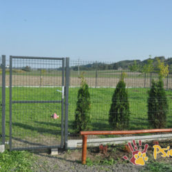 Wolontariat – nieoceniona pomoc