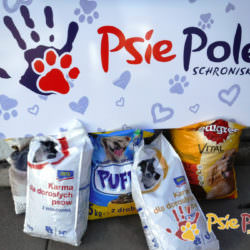 Dary ze szkoły Dary ze szkoły