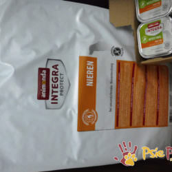 Karma dla chorych piesków