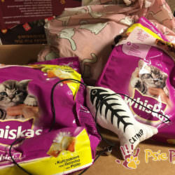 PODARUNKI ZE SZKOŁY PODARUNKI ZE SZKOŁY