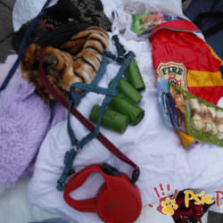 DARY DLA PSIAKÓW DARY DLA PSIAKÓW