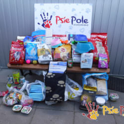 PODARUNKI z Przedszkola