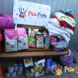 TRZY PANIE JEDEN CEL :) TRZY PANIE JEDEN CEL :)