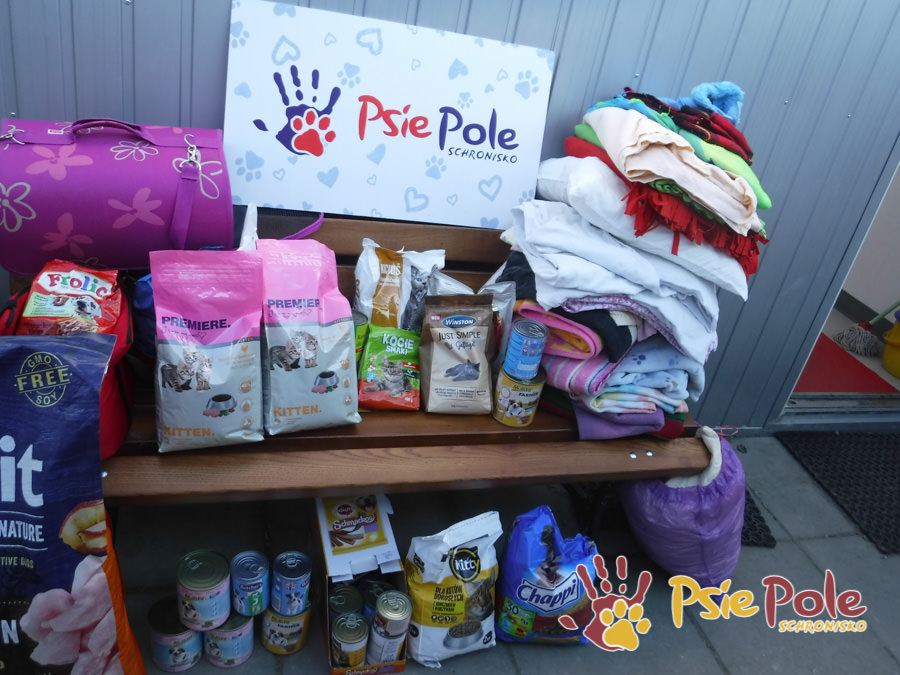 TRZY PANIE JEDEN CEL :) TRZY PANIE JEDEN CEL :)