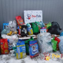 PODARUNKI ZE SZKOŁY