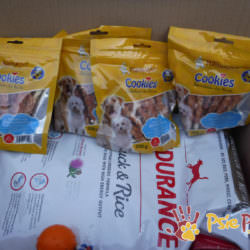 PODARUNKI DLA FREJKI