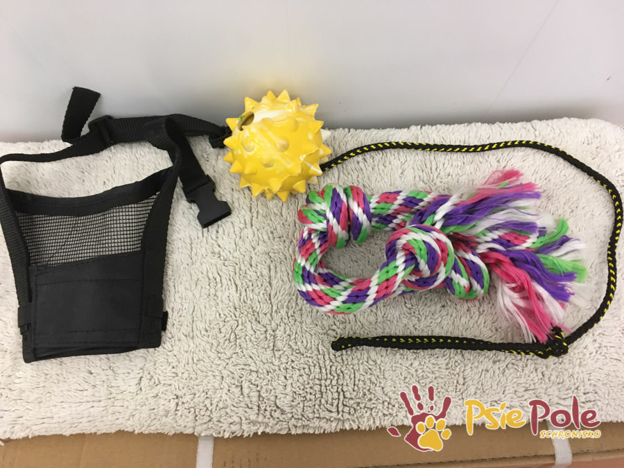 OD EDDIEGO OD EDDIEGO