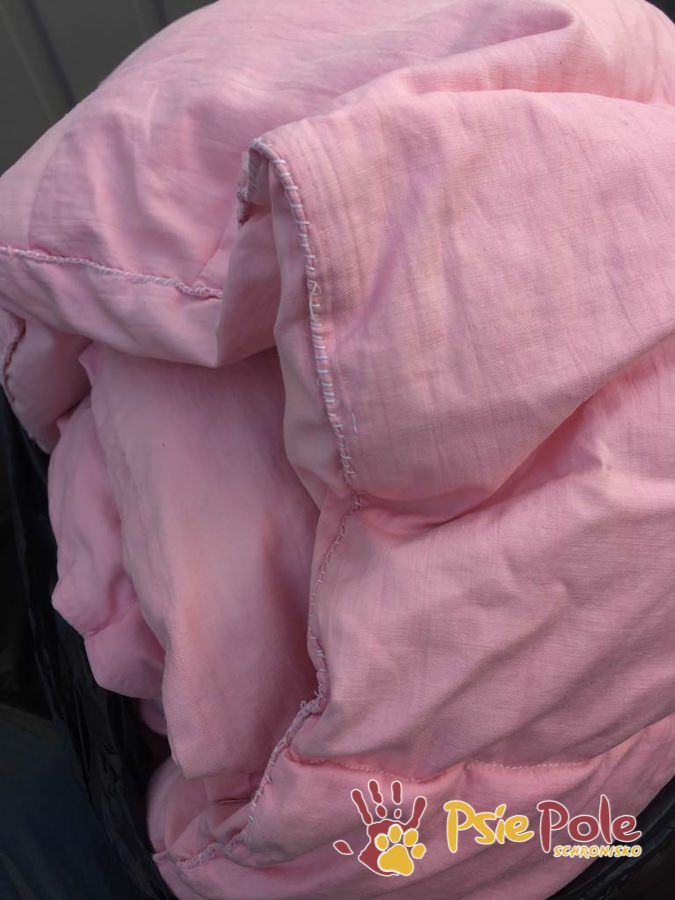 PODARUNKI DLA ZWIERZAKÓW PODARUNKI DLA ZWIERZAKÓW