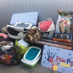 PODARUNKI DLA ZWIERZAKÓW PODARUNKI DLA ZWIERZAKÓW