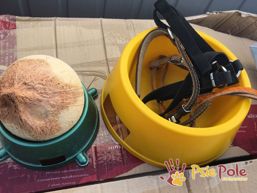 PODARUNKI DLA ZWIERZAKÓW PODARUNKI DLA ZWIERZAKÓW