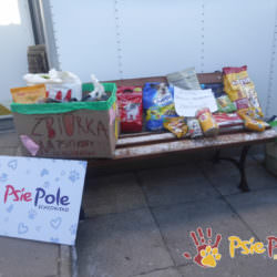 PODARUNKI ZE SZKOŁY