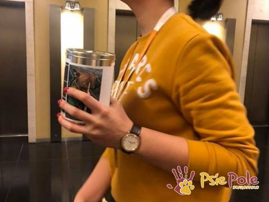 PODARUNKI OD FIRMY :) PODARUNKI OD FIRMY :)