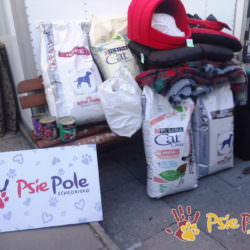 PODARUNKI OD FIRMY :) PODARUNKI OD FIRMY :)