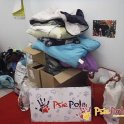 PODARUNKI OD WOLONTARIUSZY