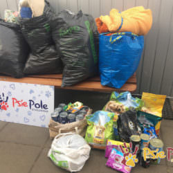 PODARUNKI ZE SZKOŁY