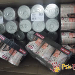 PODARUNKI od WILCZUSIA PODARUNKI od WILCZUSIA