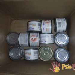 PODARUNKI OD NAUCZYCIELI PODARUNKI OD NAUCZYCIELI