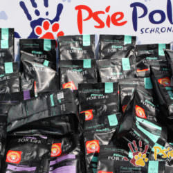 PODARUNKI DLA KOTKÓW