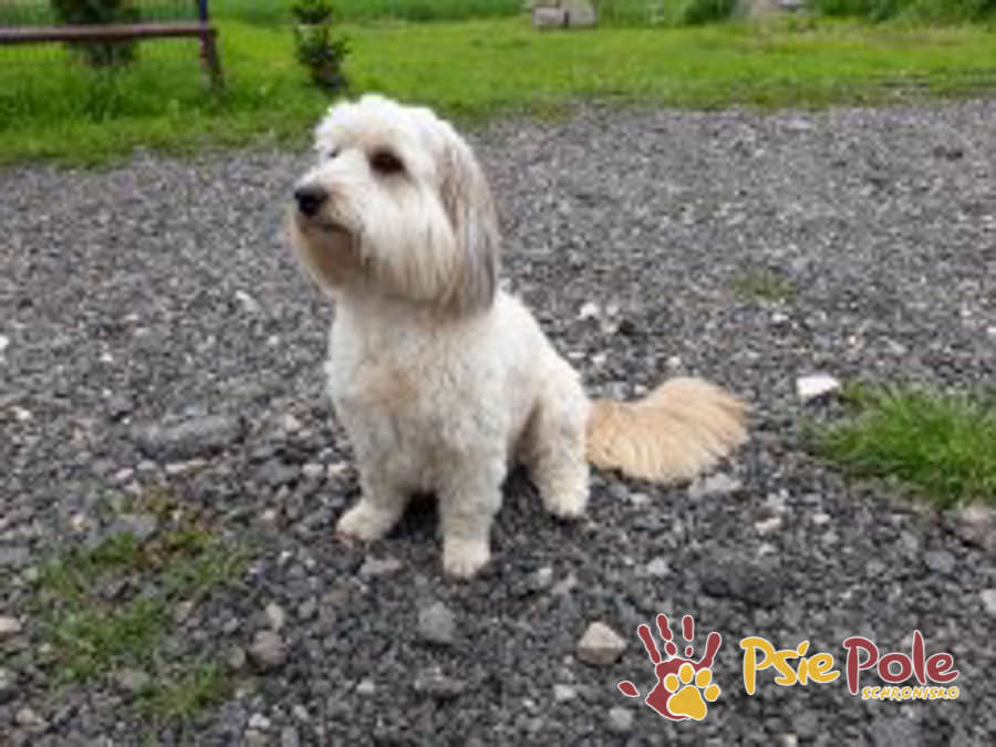 PODARUNKI OD BRONI PODARUNKI OD BRONI