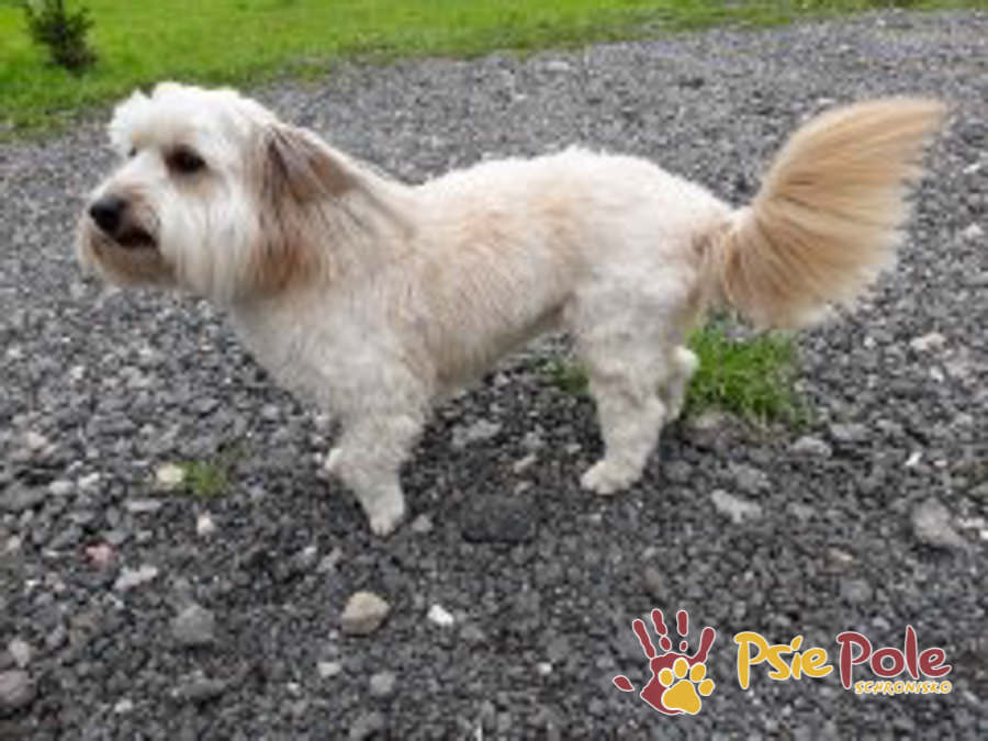 PODARUNKI OD BRONI PODARUNKI OD BRONI