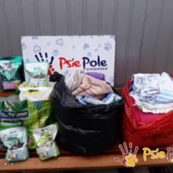 PODARUNKI OD BRONI PODARUNKI OD BRONI